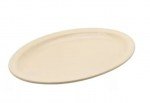 Plato Tampiqueño